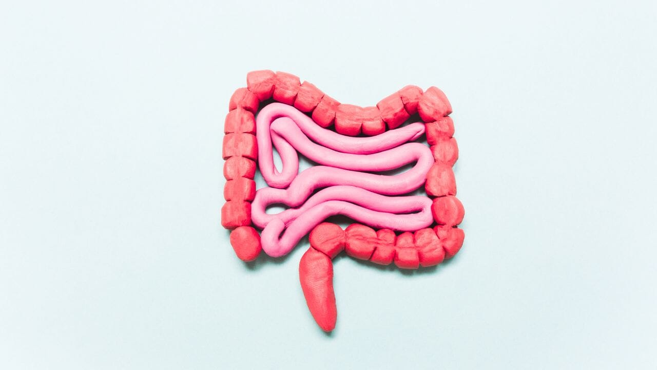 Cómo equilibrar o restaurar la flora intestinal de forma natural